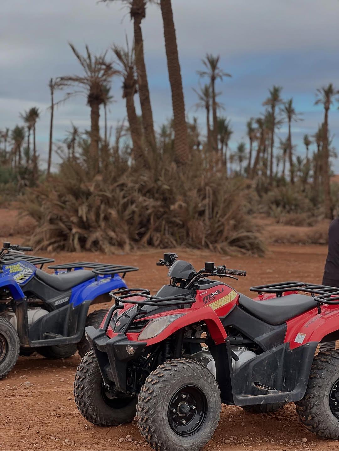 Quad + Dromadaire + Déjeuner à la Palmeraie 2