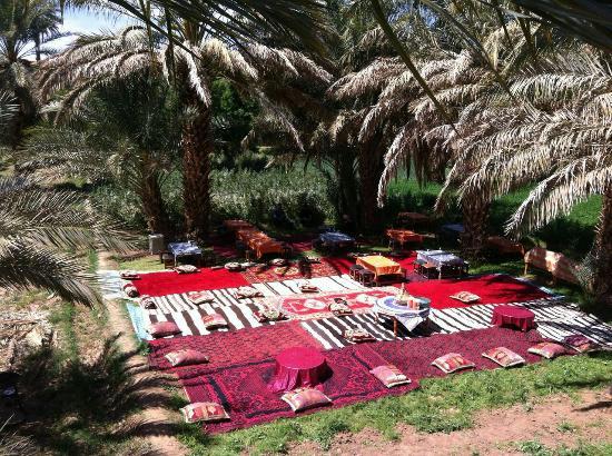 Quad + Dromadaire + Déjeuner à la Palmeraie